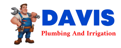 Trusted plumber in RAMEY